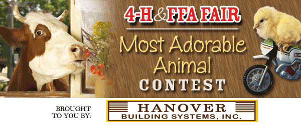 4h contest