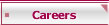 Careers 